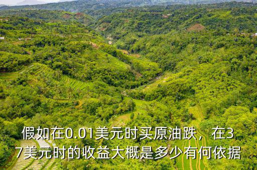 假如在0.01美元時(shí)買原油跌，在37美元時(shí)的收益大概是多少有何依據(jù)