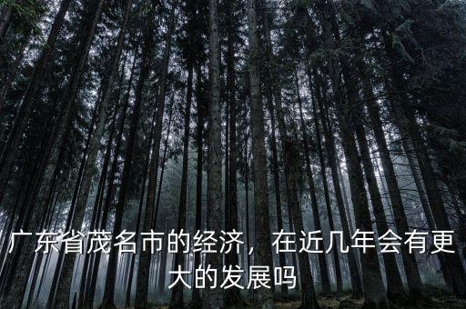 廣東省茂名市的經(jīng)濟(jì)，在近幾年會(huì)有更大的發(fā)展嗎
