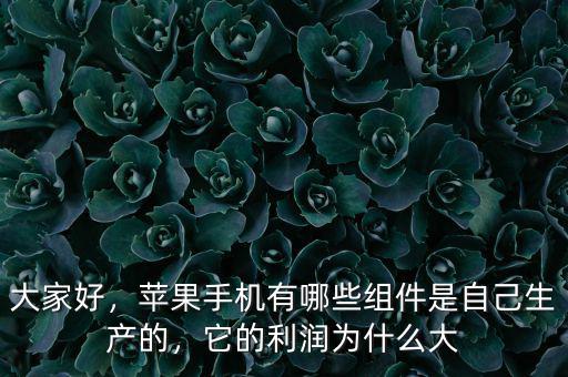 大家好，蘋果手機有哪些組件是自己生產(chǎn)的，它的利潤為什么大