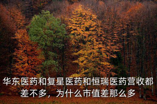 華東醫(yī)藥和復(fù)星醫(yī)藥和恒瑞醫(yī)藥營收都差不多，為什么市值差那么多
