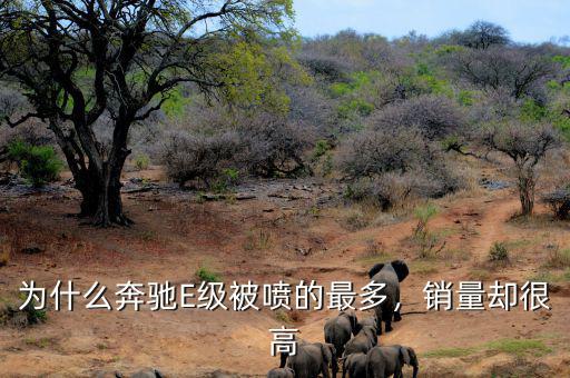 奔馳為什么銷量不高,為什么網上對奔馳E罵聲一片