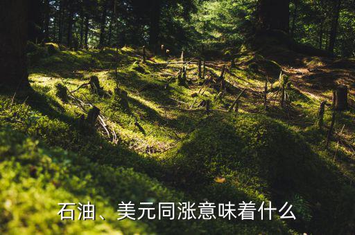 石油、美元同漲意味著什么