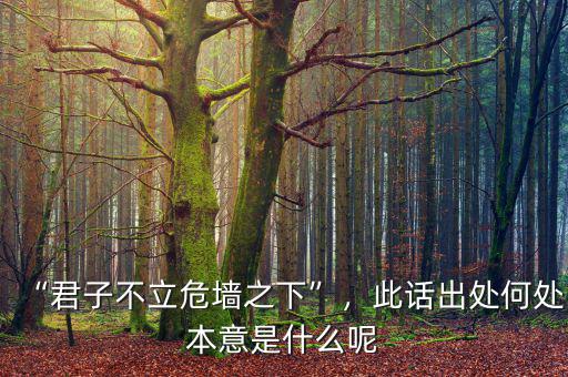 “君子不立危墻之下”，此話出處何處本意是什么呢