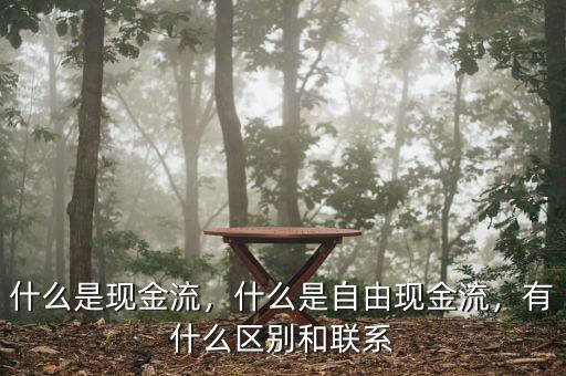 什么是現(xiàn)金流，什么是自由現(xiàn)金流，有什么區(qū)別和聯(lián)系