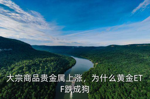 大宗商品貴金屬上漲，為什么黃金ETF跌成狗