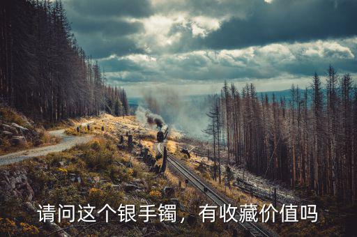 請問這個銀手鐲，有收藏價值嗎