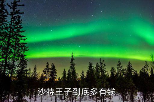 沙特多少王子,沙特王子到底多有錢(qián)