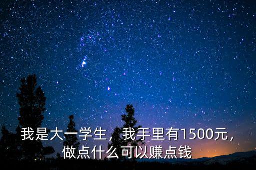 我是大一學生，我手里有1500元，做點什么可以賺點錢