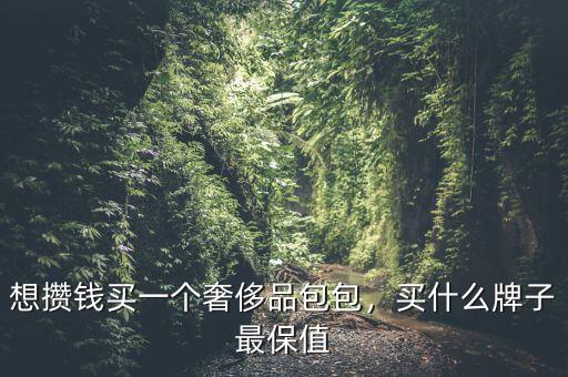 想攢錢買一個奢侈品包包，買什么牌子最保值
