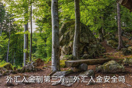 外匯入金到第三方，外匯入金安全嗎