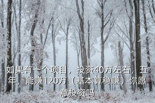 如果有一個項目，投資40萬左右，五年，能賺120萬（基本算穩(wěn)賺）你愿意投資嗎