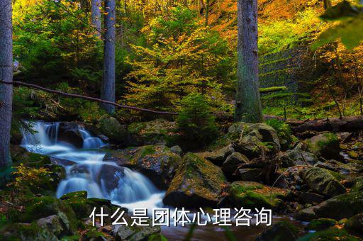 什么是團(tuán)體心理咨詢(xún)