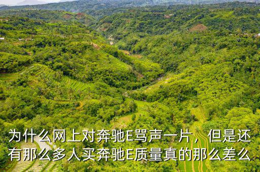 為什么網(wǎng)上對(duì)奔馳E罵聲一片，但是還有那么多人買(mǎi)奔馳E質(zhì)量真的那么差么