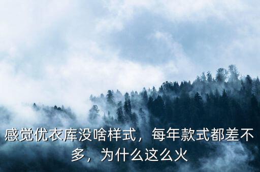 感覺優(yōu)衣庫沒啥樣式，每年款式都差不多，為什么這么火