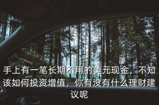 手上有一筆長期不用的美元現(xiàn)金，不知該如何投資增值，你有沒有什么理財(cái)建議呢