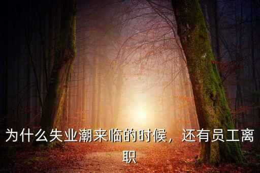 為什么失業(yè)潮來(lái)臨的時(shí)候，還有員工離職