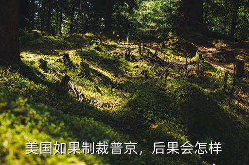 美國如果制裁普京，后果會怎樣