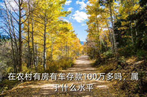 在農(nóng)村有房有車存款100萬(wàn)多嗎，屬于什么水平