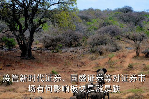 接管新時(shí)代證券、國(guó)盛證券等對(duì)證券市場(chǎng)有何影響板塊是漲是跌