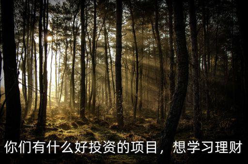 你們有什么好投資的項(xiàng)目，想學(xué)習(xí)理財(cái)