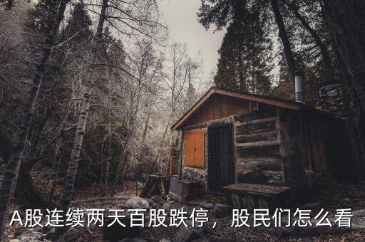 A股連續(xù)兩天百股跌停，股民們?cè)趺纯? class=