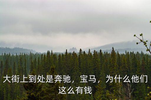 大街上到處是奔馳，寶馬，為什么他們這么有錢