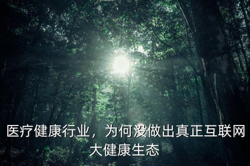 醫(yī)療健康行業(yè)，為何沒做出真正互聯(lián)網(wǎng)大健康生態(tài)