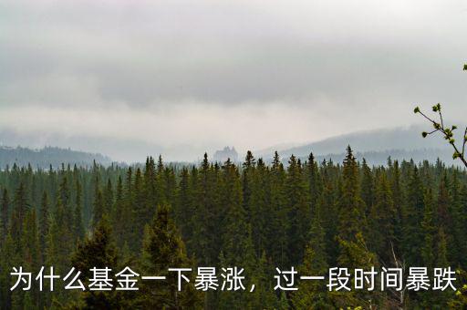 為什么基金一下暴漲，過一段時間暴跌