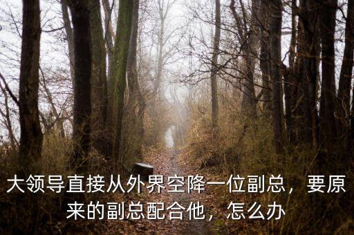 大領(lǐng)導(dǎo)直接從外界空降一位副總，要原來(lái)的副總配合他，怎么辦