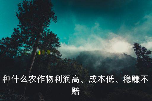 種什么農(nóng)作物利潤高、成本低、穩(wěn)賺不賠