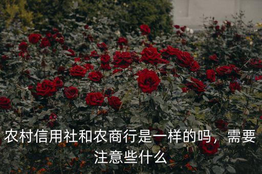 農(nóng)村信用社和農(nóng)商行是一樣的嗎，需要注意些什么