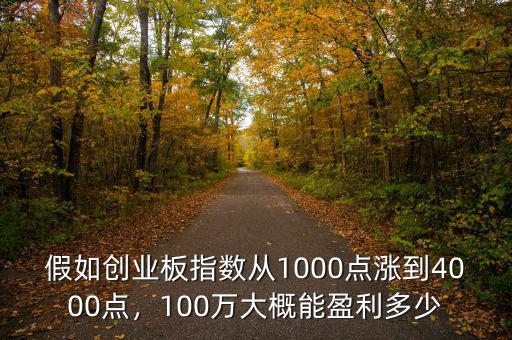 假如創(chuàng)業(yè)板指數(shù)從1000點漲到4000點，100萬大概能盈利多少