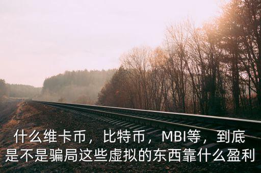 什么維卡幣，比特幣，MBI等，到底是不是騙局這些虛擬的東西靠什么盈利
