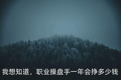 我想知道，職業(yè)操盤手一年會(huì)掙多少錢
