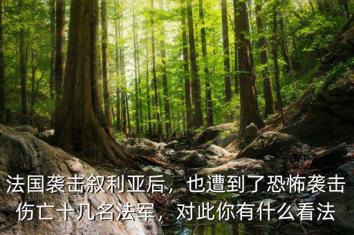 法國襲擊敘利亞后，也遭到了恐怖襲擊傷亡十幾名法軍，對此你有什么看法
