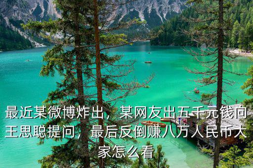 最近某微博炸出，某網(wǎng)友出五千元錢向王思聰提問，最后反倒賺八萬人民幣大家怎么看