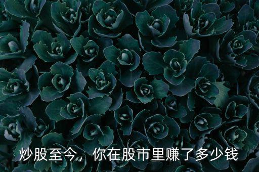 炒股至今，你在股市里賺了多少錢