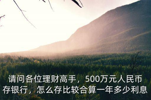 請問各位理財高手，500萬元人民幣存銀行，怎么存比較合算一年多少利息