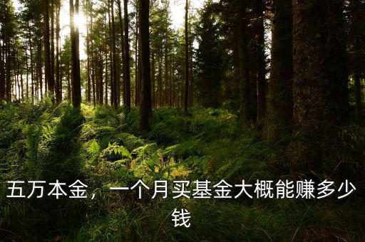 五萬本金，一個月買基金大概能賺多少錢