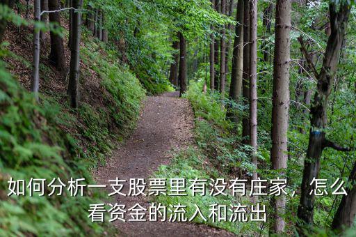 如何分析一支股票里有沒有莊家，怎么看資金的流入和流出