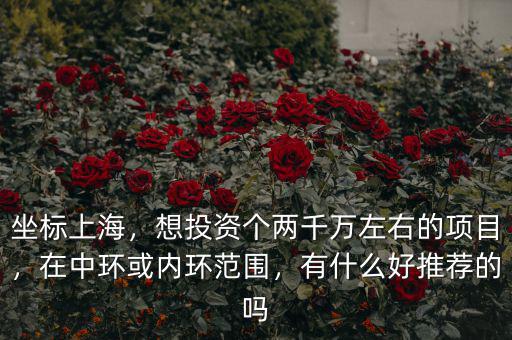 坐標上海，想投資個兩千萬左右的項目，在中環(huán)或內(nèi)環(huán)范圍，有什么好推薦的嗎
