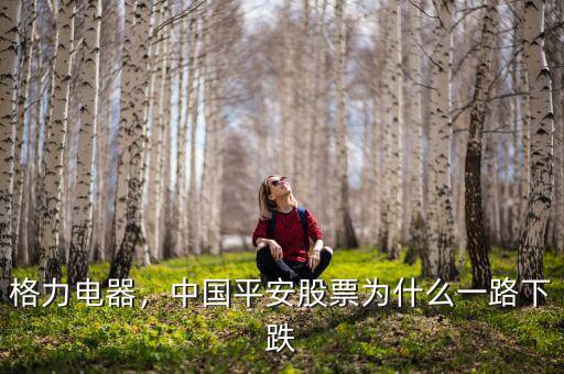 格力電器，中國平安股票為什么一路下跌