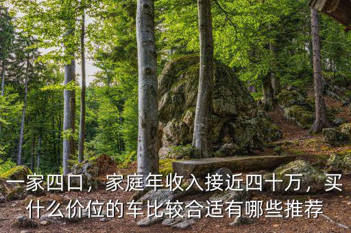 一家四口，家庭年收入接近四十萬，買什么價位的車比較合適有哪些推薦