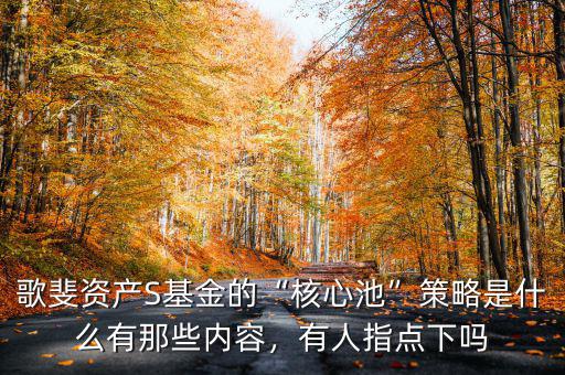 歌斐資產(chǎn)S基金的“核心池”策略是什么有那些內(nèi)容，有人指點(diǎn)下嗎
