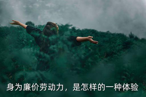 身為廉價(jià)勞動力，是怎樣的一種體驗(yàn)