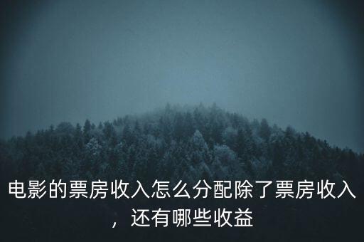 電影的票房收入怎么分配除了票房收入，還有哪些收益