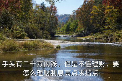 手頭有二十萬閑錢，但是不懂理財(cái)，要怎么理財(cái)利息高點(diǎn)求指點(diǎn)