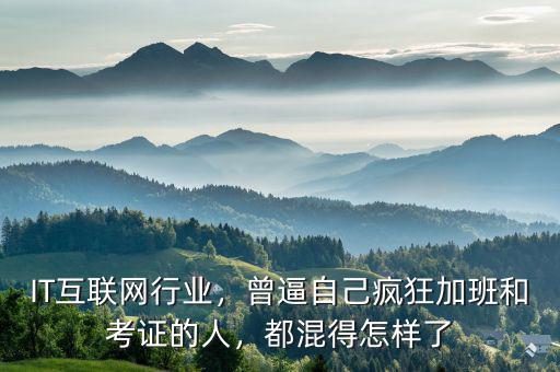 IT互聯(lián)網(wǎng)行業(yè)，曾逼自己瘋狂加班和考證的人，都混得怎樣了
