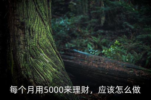 每個月用5000來理財，應該怎么做