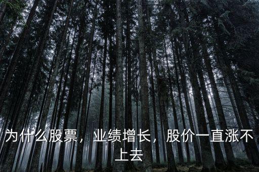 為什么股票，業(yè)績(jī)?cè)鲩L(zhǎng)，股價(jià)一直漲不上去